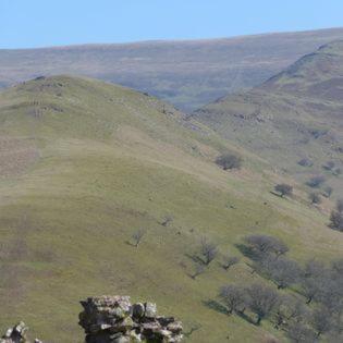Dinas Castle Inn Brecon Zewnętrze zdjęcie